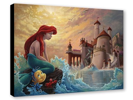 Ariel s Daydream  by Jared Franco | Signed and Numbered Edition Supply