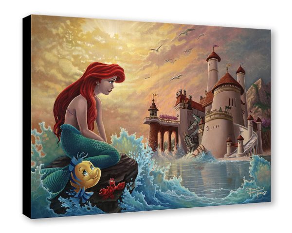 Ariel s Daydream  by Jared Franco | Signed and Numbered Edition Supply