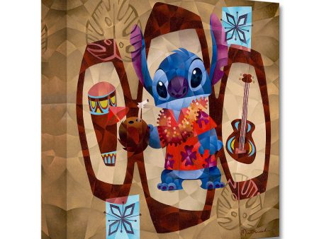 The Stitch Life  by Tom Matousek Fashion