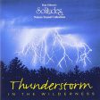 SOLITUDES - THUNDERSTORM IN THE WILDERNESS Online now